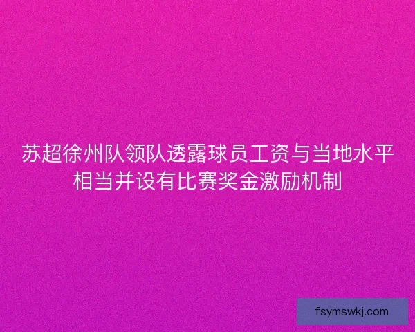 苏超徐州队领队透露球员工资与当地水平相当并设有比赛奖金激励机制