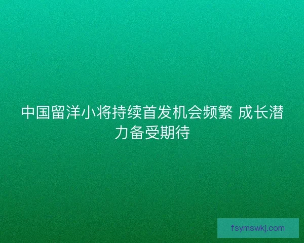 中国留洋小将持续首发机会频繁 成长潜力备受期待