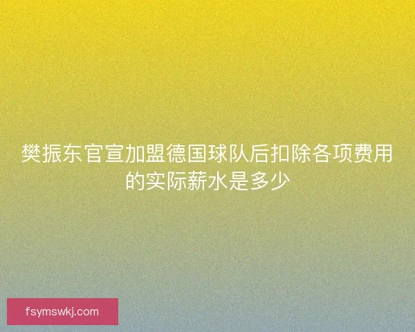 樊振东官宣加盟德国球队后扣除各项费用的实际薪水是多少